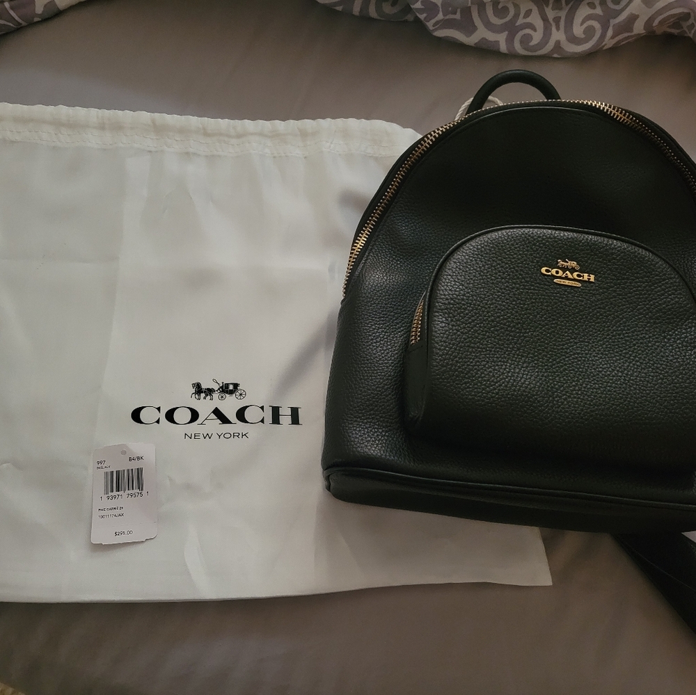 Coach Carrie 23 Backpack (small)